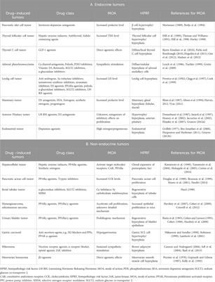 ICH S1 prospective evaluation study and weight of evidence assessments: commentary from industry representatives